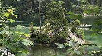 vavtrade.hu. Hintersee Zauberwald