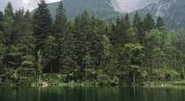 vavtrade.hu. Hintersee Zauberwald