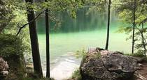 vavtrade.hu. Hintersee Zauberwald